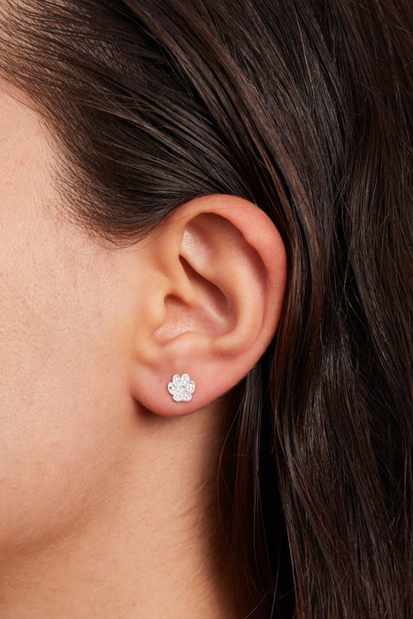 Heliophilia Silver Pendientes de Plata Esterlina 925 en Color Plateado
